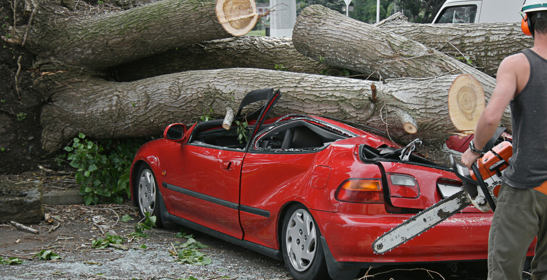 Car smashed by tree trunks that were cut down by man standing nearby holding a chain saw
