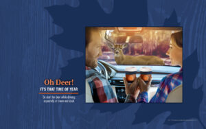 Oh Deer! It's That Time of Year. Shows couple holding to-go coffee cups while in car and through windshield can see a deer in the middle of the road