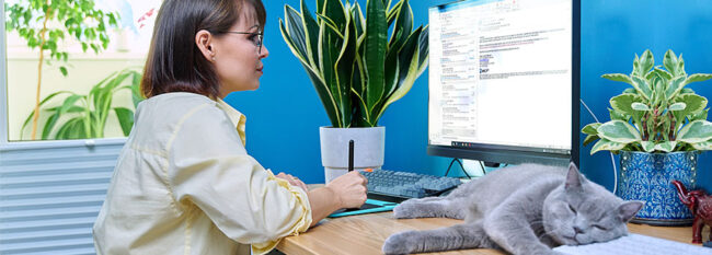 Safety Self-audit for Telecommuting