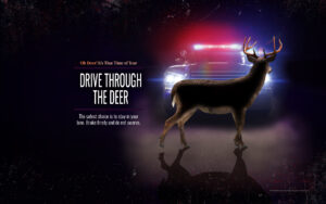 Drive Through the Deer. Squad car in background about to hit a deer in the middle of the road